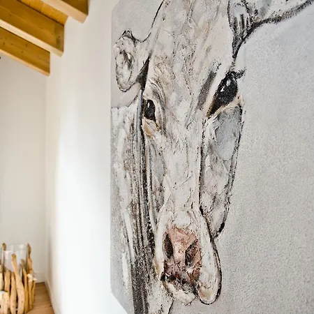 Fortuna 5.5 - Griwarent Ag