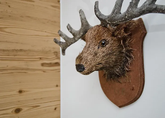 Fortuna 5.5 - Griwarent Ag *